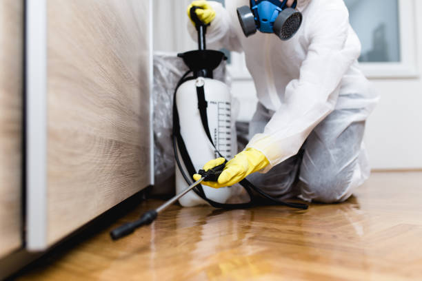 Best Pest Control for Businesses  in Wynantskill, NY