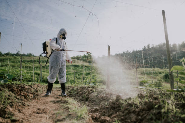 Best Commercial Pest Control Services  in Wynantskill, NY