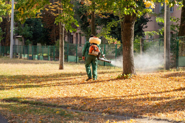 Best Emergency Pest Control  in Wynantskill, NY