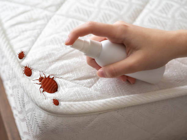 Pest Control for Restaurants in Wynantskill, NY