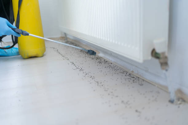 Best Best Pest Control Companies  in Wynantskill, NY